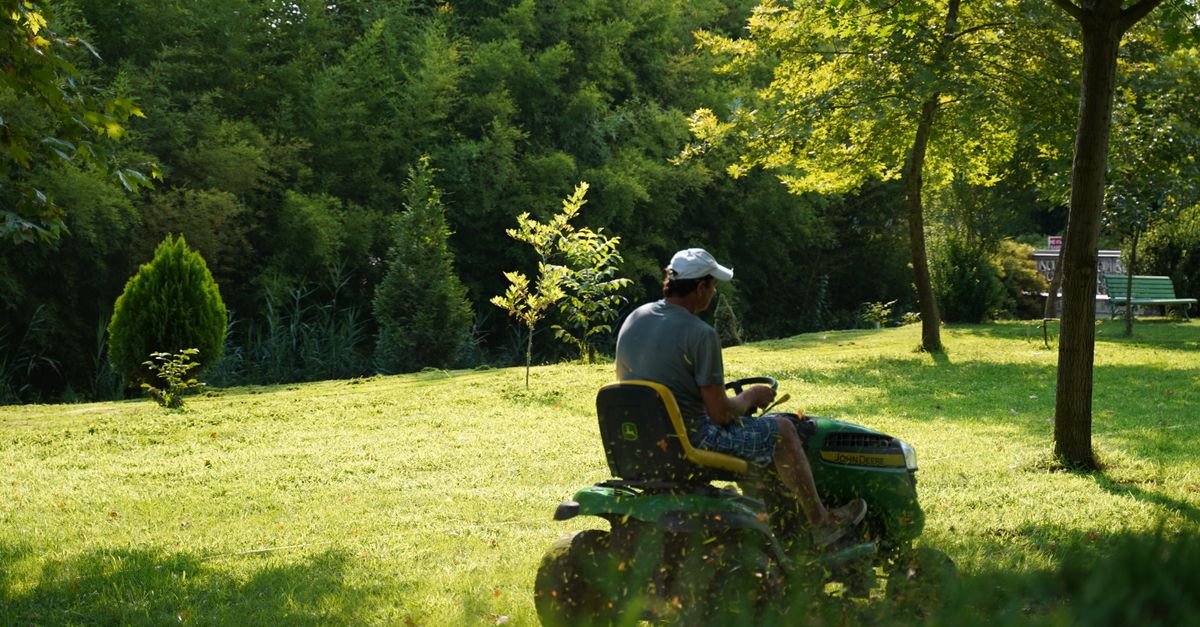 Professional landscaper working on a residential yard